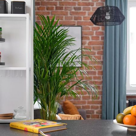 Mikroklimatyczny Apartament Dla 4 Osob - Blisko Szlakow, W Centrum Sklářská Poruba Exteriér fotografie